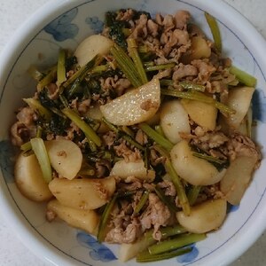 豚肉とカブのオイスター炒め